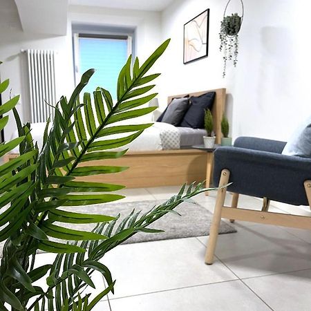 The Hidden Studio; Comfy & Close To The Lake Lugano Eksteriør billede
